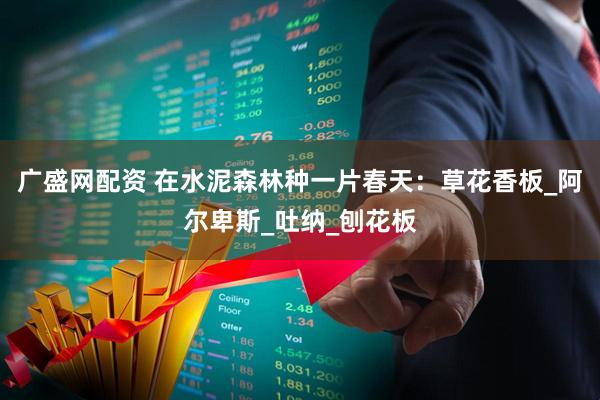 广盛网配资 在水泥森林种一片春天：草花香板_阿尔卑斯_吐纳_刨花板