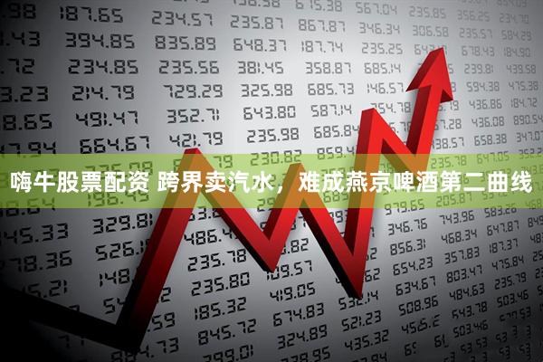 嗨牛股票配资 跨界卖汽水，难成燕京啤酒第二曲线